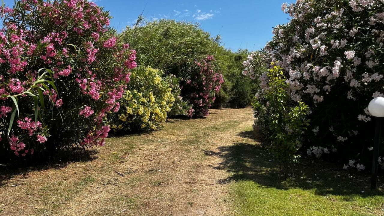 Hotel Frassetto Santa Teresa Gallura Exteriör bild