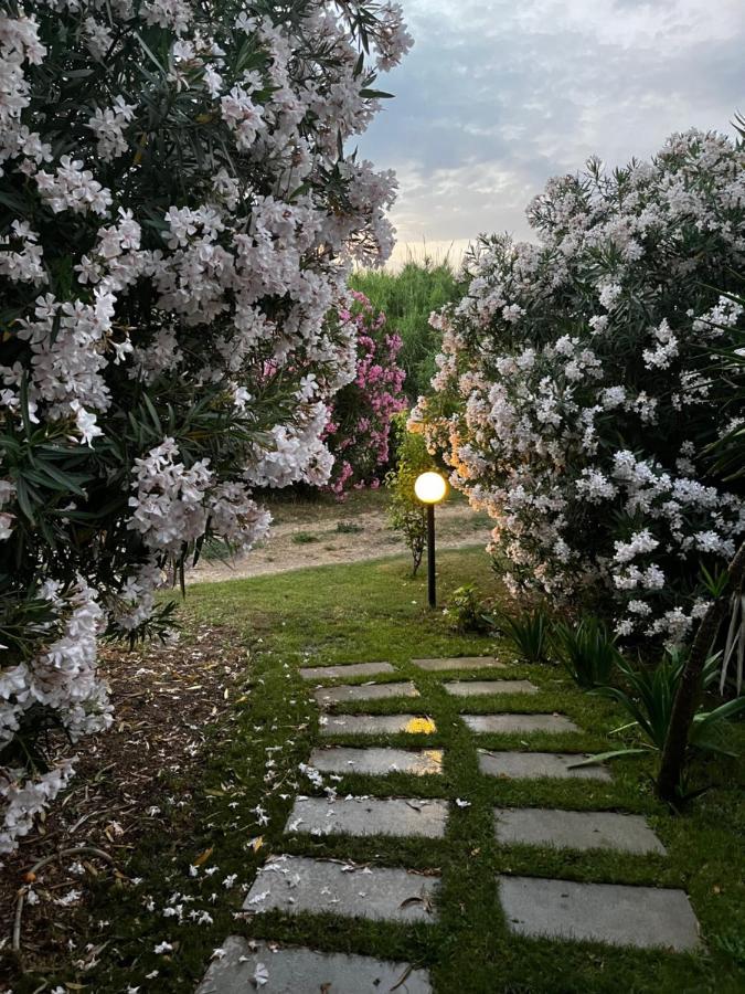 Hotel Frassetto Santa Teresa Gallura Exteriör bild
